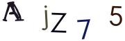 圖片的 CAPTCHA
