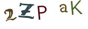 圖片的 CAPTCHA