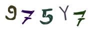 圖片的 CAPTCHA