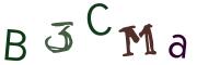 圖片的 CAPTCHA