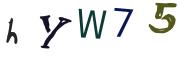 圖片的 CAPTCHA