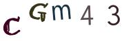 圖片的 CAPTCHA