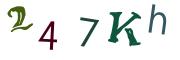 圖片的 CAPTCHA