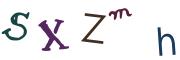 圖片的 CAPTCHA