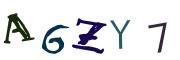 圖片的 CAPTCHA