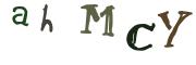 圖片的 CAPTCHA