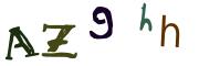 圖片的 CAPTCHA