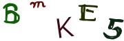 圖片的 CAPTCHA