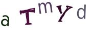 圖片的 CAPTCHA