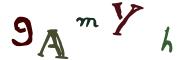 圖片的 CAPTCHA