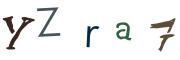 圖片的 CAPTCHA