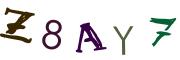 圖片的 CAPTCHA