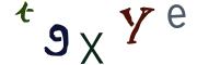 圖片的 CAPTCHA