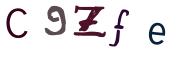 圖片的 CAPTCHA