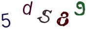 圖片的 CAPTCHA