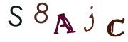 圖片的 CAPTCHA
