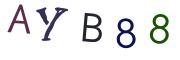 圖片的 CAPTCHA