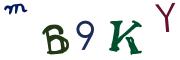 圖片的 CAPTCHA