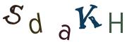 圖片的 CAPTCHA