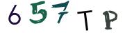 圖片的 CAPTCHA