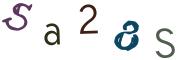 圖片的 CAPTCHA
