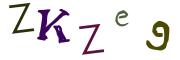 圖片的 CAPTCHA