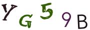 圖片的 CAPTCHA