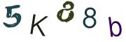 圖片的 CAPTCHA
