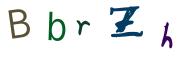 圖片的 CAPTCHA