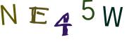 圖片的 CAPTCHA