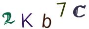 圖片的 CAPTCHA