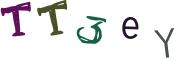 圖片的 CAPTCHA