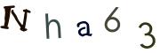 圖片的 CAPTCHA