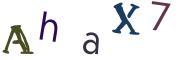 Bild-CAPTCHA