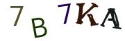 画像CAPTCHA