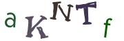 圖片的 CAPTCHA