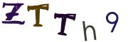 圖片的 CAPTCHA