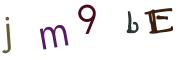 圖片的 CAPTCHA