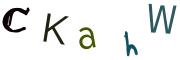 圖片的 CAPTCHA