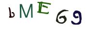 圖片的 CAPTCHA