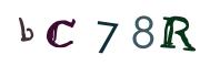 圖片的 CAPTCHA