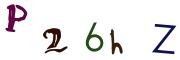 圖片的 CAPTCHA