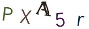 圖片的 CAPTCHA