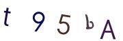圖片的 CAPTCHA