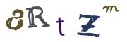 圖片的 CAPTCHA