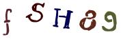 圖片的 CAPTCHA