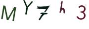 圖片的 CAPTCHA
