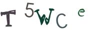 圖片的 CAPTCHA