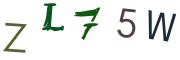 圖片的 CAPTCHA