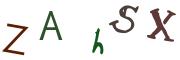圖片的 CAPTCHA